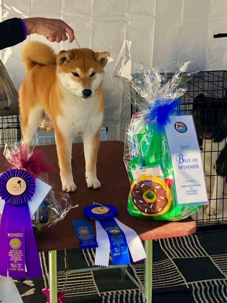 Indiana — Best of Winners