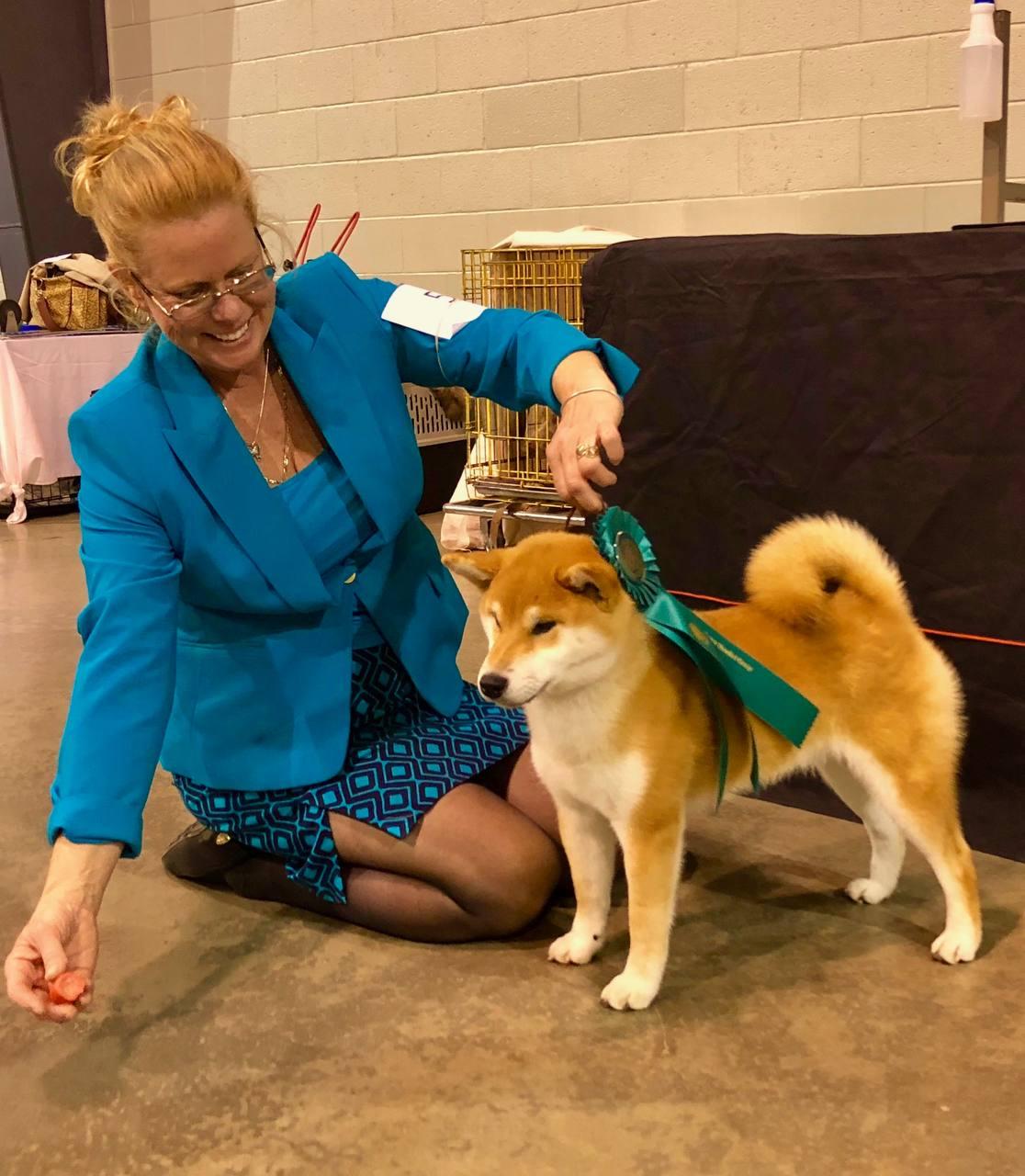 Indiana — show win with handler